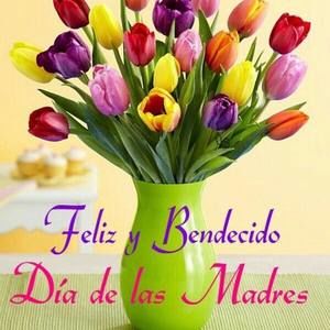 Meet your Posher, Jose luis